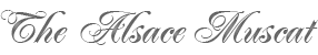 wine Alsace muscat